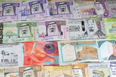 İsviçre 'de İsviçre Frangı ve Suudi Arabistan' dan nakit para, farklı değerlerde riyal banknotları, Suudi Arabistan 'ın çeşitli kralları, Suudi Arabistan ve İsviçre döviz kuru ve değer biçme oranı