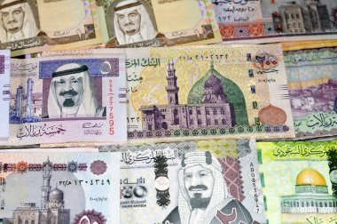 Mısır parası EGP LE faturaları ve SAR Suudi Arabistan para banknotları, farklı değerler, para ve ekonomik statü para birimi, enflasyon, döviz kuru ve büyüme konsepti