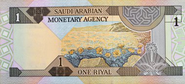 Eski bir Suudi Arabistan banknotunun ters tarafının büyük bir parçası, bir Riyal SAR manzarası ve bir palmiye ağacının altında iki kılıçtan oluşan Suudi Arabistan ulusal amblemi yer alıyor.