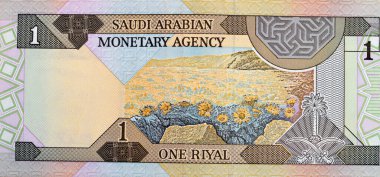 Large fragment of the reverse side of an old Saudi Arabia banknote bill, one 1 Riyal SAR features a landscape scene and the Saudi Arabian national emblem of two swords below a palm tree clipart