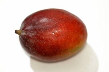 Naomi Mangos 'un nefis bir lezzeti ve tatlılığı var. Meyveler orta boy, oval dikdörtgen şeklinde ve olgunlaşınca güzel bir kırmızı renge dönüşüyor. Mısır ve İsrail' de yetiştirilmiş.