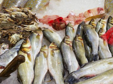 Tahtada çiğ taze balık, buz, balık filetosu, taze yengeç, midye, midye, istiridye ve ayrıca gandofly gandofli olarak da adlandırılır.