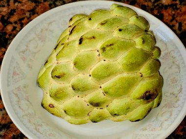 sweetsop, sugar apple or Annona squamosa, edible fruits called sugar apples or sweetsops, flesh is fragrant and sweet, creamy white through light yellow, and resembles and tastes like custard clipart