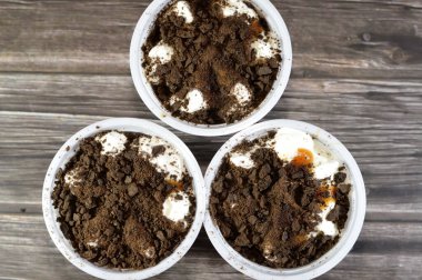 Kurabiye parçaları, karamel sosu, bisküvi ve vanilyalı dondurma, vanilyalı dondurma, yaz ve bayram konsepti, zengin karamelli bisküvi parçaları.