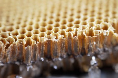 Bal peteği, bal arıları tarafından yuvalarında bal arıları, yumurtalar, larvalar ve pupalar ve bal ve polen depolarından oluşan, seçici odaklı balmumu hücrelerden oluşan bir kütle.