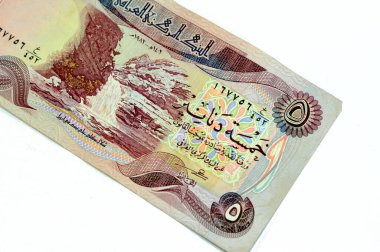 Irak merkez bankasının 1982 yılındaki beş dinar banknotu, merkezinde Gall-Al Beg şelalesi, eski moda Irak nakit para faturası, seçici odaklı