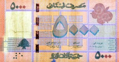 Lübnan Bankası tarafından 2014 yılında yayınlanan beş bin Lübnan Livres 'in ters tarafının büyük bir kısmında bir kelebek ve Lübnan' ın ulusal amblemi olan Cedrus Libani Lübnan Sedir yer alıyor.