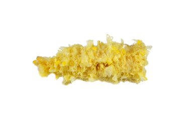 Tüketildikten sonra kaynamış mısır kalıntıları ve enkazı, şeker sırıklı mısır, yüksek şeker içerikli çeşitli mısır ürünleridir (Zea mays convar. saccharata var. rugosa), seçici odaklanma