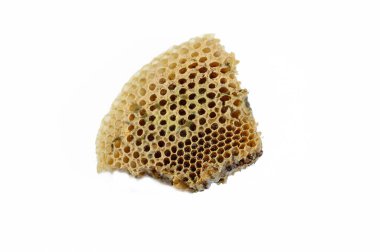 Kurumuş bal peteği, küf, bazı mantarların oluşturabileceği yapılardan biri, toz benzeri, renkli kalıplar, mantar ikincil metabolitleri içeren sporların oluşumundan kaynaklanır.