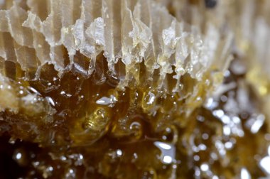 Kraliçe arının yumurtalarını saklayan ve işçi arıların kovanlarına getirdikleri polen ve balı saklayan ballı altıgen bal peteği hücreleri bal, larva ve polen depolamak için inşa edilmiş prizmatik balmumu hücreleri.