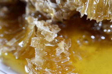 Kraliçe arının yumurtalarını saklayan ve işçi arıların kovanlarına getirdikleri polen ve balı saklayan ballı altıgen bal peteği hücreleri bal, larva ve polen depolamak için inşa edilmiş prizmatik balmumu hücreleri.