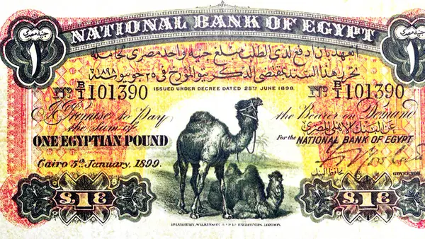 İlk Mısır banknotunun ters tarafının büyük bir parçası. 1899 Mısır Merkez Bankası 'nın 1 LE EGP' si, merkezinde iki deve, antika retro ve tarihi pound vardır.