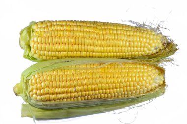 Tatlı mısır, tatlı mısır çubuğu mısır, yüksek şeker içerikli mısır çeşitleri, (Zea mays convar. saccharata var. Rugosa), altı ana mısır tipinden biri, göçük, çakmaktaşı, kapsül, patlamış mısır ve un