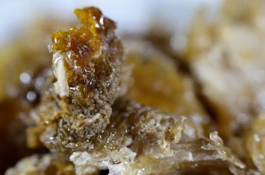 Kraliçe arının yumurtalarını saklayan ve işçi arıların kovanlarına getirdikleri polen ve balı saklayan ballı altıgen bal peteği hücreleri bal, larva ve polen depolamak için inşa edilmiş prizmatik balmumu hücreleri.