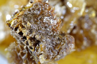 Kraliçe arının yumurtalarını saklayan ve işçi arıların kovanlarına getirdikleri polen ve balı saklayan ballı altıgen bal peteği hücreleri bal, larva ve polen depolamak için inşa edilmiş prizmatik balmumu hücreleri.