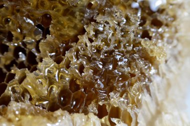 Kraliçe arının yumurtalarını saklayan ve işçi arıların kovanlarına getirdikleri polen ve balı saklayan ballı altıgen bal peteği hücreleri bal, larva ve polen depolamak için inşa edilmiş prizmatik balmumu hücreleri.