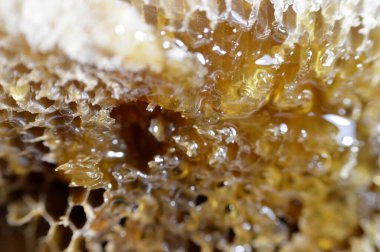 Kraliçe arının yumurtalarını saklayan ve işçi arıların kovanlarına getirdikleri polen ve balı saklayan ballı altıgen bal peteği hücreleri bal, larva ve polen depolamak için inşa edilmiş prizmatik balmumu hücreleri.