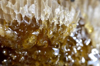 Kraliçe arının yumurtalarını saklayan ve işçi arıların kovanlarına getirdikleri polen ve balı saklayan ballı altıgen bal peteği hücreleri bal, larva ve polen depolamak için inşa edilmiş prizmatik balmumu hücreleri.