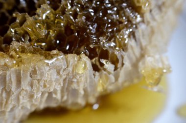 Kraliçe arının yumurtalarını saklayan ve işçi arıların kovanlarına getirdikleri polen ve balı saklayan ballı altıgen bal peteği hücreleri bal, larva ve polen depolamak için inşa edilmiş prizmatik balmumu hücreleri.