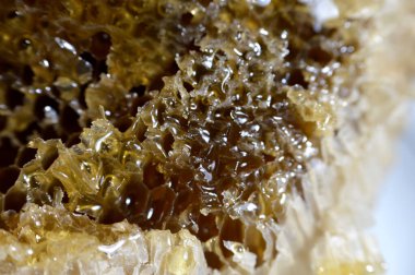 Kraliçe arının yumurtalarını saklayan ve işçi arıların kovanlarına getirdikleri polen ve balı saklayan ballı altıgen bal peteği hücreleri bal, larva ve polen depolamak için inşa edilmiş prizmatik balmumu hücreleri.