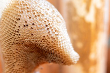 Bal peteği, bal arıları tarafından yuvalarında bal arıları, yumurtalar, larvalar ve pupalar ve bal ve polen depolarından oluşan, seçici odaklı balmumu hücrelerden oluşan bir kütle.