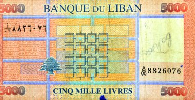 Large fragment of reverse side of five thousand Lebanese Livres issued by Bank of Lebanon 2014, features Pink and purple print, boxes of square and rectangle varieties, and Bank of Lebanon in French clipart