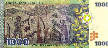 Suriye Merkez Bankası tarafından 2013 yılında yayınlanan 1000 pound 'luk banknotun ters tarafının büyük bir bölümünde, Suwayda' nın Roma harabelerinde, zeytin dallarında üzüm hasadı mozaiği yer alıyor.