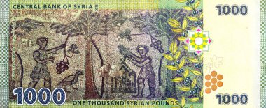 Suriye Merkez Bankası tarafından 2013 yılında yayınlanan 1000 pound 'luk banknotun ters tarafının büyük bir bölümünde, Suwayda' nın Roma harabelerinde, zeytin dallarında üzüm hasadı mozaiği yer alıyor.