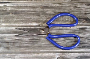 Makas elle işletilen kırpma araçlarıdır, bir makas, keskin kenarları kapalı pivot karşısında eğildiğinde birbirlerine karşı kaydırmak için döndürülmüş bir çift bıçaktan oluşur