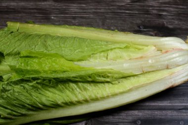 Marul sebzesi, Marul (