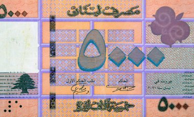 Lübnan Bankası 2021 tarafından yayınlanan beş bin Lübnan Livres 'in ters tarafının büyük bir kısmında bir kelebek ve Lübnan' ın ulusal amblemi olan Cedrus Libani Lübnan Sedir yer alıyor.