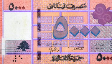 Lübnan Bankası 2021 tarafından yayınlanan beş bin Lübnan Livres 'in ters tarafının büyük bir kısmında bir kelebek ve Lübnan' ın ulusal amblemi olan Cedrus Libani Lübnan Sedir yer alıyor.