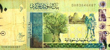 Sudan merkez bankası tarafından 10 SDG 10 Sudan sterlini nakit para banknotunun ters tarafının büyük bir kısmında Ağaç ve Deve, Sudan parası ve ekonomi konsepti yer almaktadır.