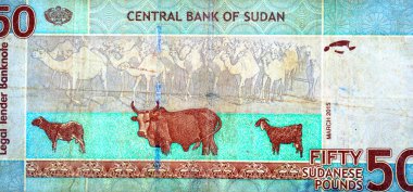 Sudan merkez bankasının 50 SDG 50 Sudan sterlini nakit para banknotunun büyük bir kısmında koyun, inek, keçi ve develer bulunur. Metalleştirilmiş pencereli güvenlik ipliği