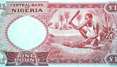 Nijerya Merkez Bankası tarafından hazırlanan 1 pound nakit para banknotu banknotunun ters tarafının büyük bir kısmında, Nijerya Federal Cumhuriyeti para birimi olan hurma palmiyesinden dövülen adam kümesi yer alıyor.