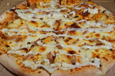 Dilimlenmiş tavuk parçaları, mozzarella peyniri, zeytinyağı, taze otlar, çiftlik sosu, domates sosu, İtalyan mutfağı pizzası, seçici odak noktası.