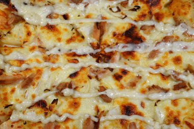 Dilimlenmiş tavuk parçaları, mozzarella peyniri, zeytinyağı, taze otlar, çiftlik sosu, domates sosu, İtalyan mutfağı pizzası, seçici odak noktası.