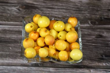 Su aygırları, deniz dikenleri cinsi, Elaeagnaceae, kum dikenleri, deniz dikenleri, turuncu-sarı meyveler, yiyecek olarak kullanılır, geleneksel ilaç, cilt bakımı