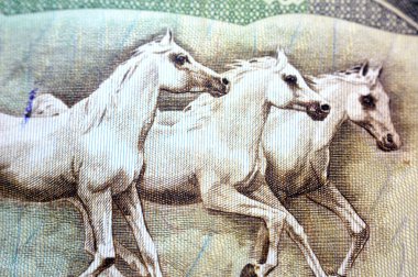 Dörtnala giden atlar, eski 25 Irak dinarı, eski Irak dinarı Irak dinarı Irak 'ın ters tarafından gelen para banknotları 1982 Irak merkez bankasının 25 dinarı