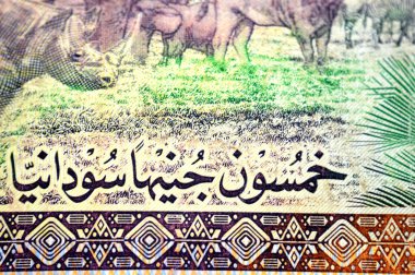 Sudan merkez bankasının 50 SDG 50 Sudan pound nakit para banknotunun ters tarafında vahşi yaşam, holografik folyo şerit, Sudan parası ve ekonomi konsepti yer almaktadır.