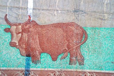 Sudan Merkez Bankası 'nın 50 SDG 50 Sudan pound nakit para banknotu ters tarafında inekler, koyun, keçi, deve içerir. Metalleştirilmiş güvenlik ipliği, Sudan parası