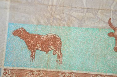 Sudan merkez bankasının 50 SDG 50 Sudan sterlini nakit para banknotunun ters tarafında inekler, keçiler ve develer bulunuyor. Metalleştirilmiş güvenlik ipliği, Sudan parası