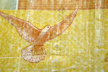 1 SDG 'nin ters tarafından uçan bir güvercin Sudan nakit para banknotu, Sudan merkez bankası tarafından, Sudan para ve ekonomi konsepti