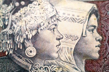 Miao ve Zhuang milletlerini temsil eden iki kız Çin Halk Bankası 'nın 5 Çin Jiao nakit para banknotunun ters tarafındalar.