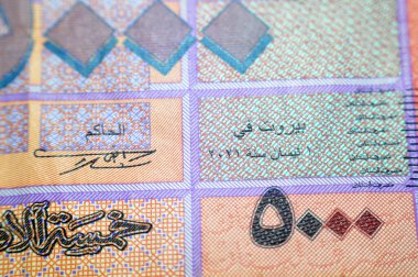 Lübnan Bankası 2021 tarafından açıklanan beş bin Lübnan Livres 'in ters tarafında bir kelebek ve Lübnan' ın ulusal amblemi olan Cedrus Libani Lübnan Sedir yer alıyor.