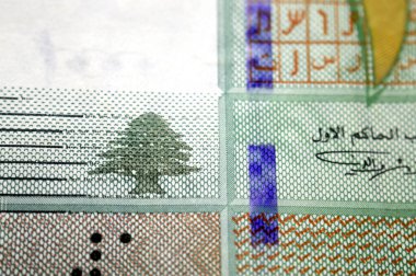 1000 Livres 'in ters tarafında 1000 Livres pound nakit para banknotu, Fenike alfabesi harfleri ve sedir ağacı içeren masa