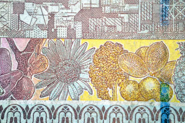 20 SDG 'nin ters tarafından gelen meyve ve sebzeler 20 Sudan sterlini nakit para banknotu, Sudan merkez bankası tarafından, Antik Petrol rafinerisi, radyo uydu antenleri