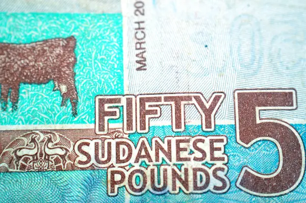 Sudan merkez bankasının 50 SDG 50 Sudan sterlini nakit para banknotunun ters tarafında koyunlar, inekler, keçiler, develer bulunur. Metalleştirilmiş camlı güvenlik ipliği, Sudan para kavramı