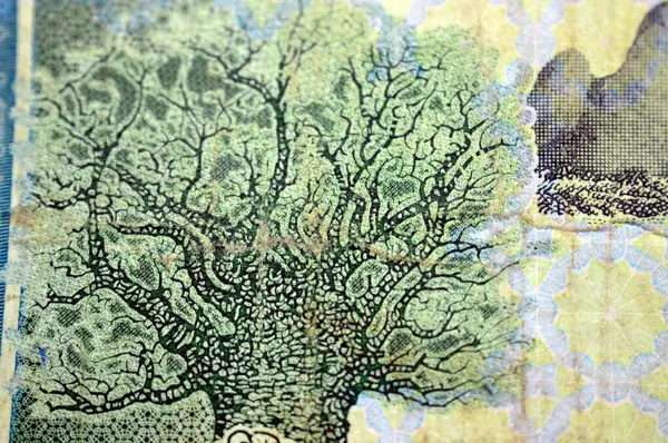 Sudan Merkez Bankası tarafından 10 SDG 10 Sudan pound nakit para banknotu ters tarafından bir ağaç, Sudan nakit para, para konsepti, deve ve ve Zebu içerir