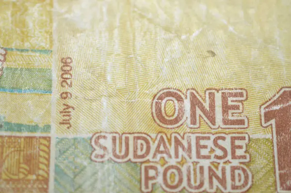 Sudan merkez bankası tarafından 1 SDG 1 Sudan pound nakit para banknotu, iki uçan güvercin, Sudan para ve ekonomi konsepti